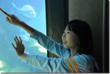 2013-08-24 16.22.58-2048