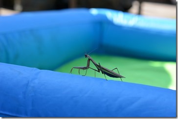 2013-10-05 15.06.42-2048