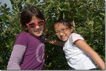 2013-10-14 11.03.36-2048