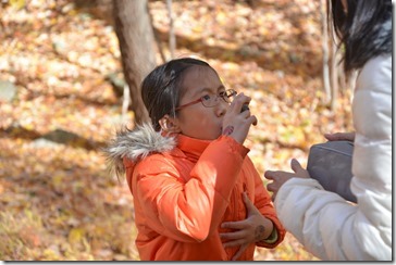 2013-10-20 11.49.13-2048