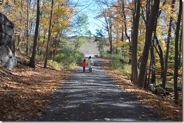 2013-10-20 11.54.46-2048