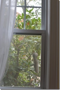 2013-10-31 11.46.31-2048