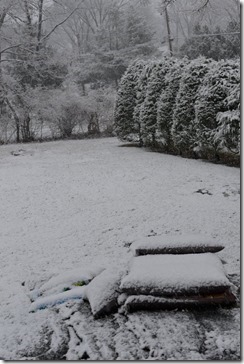 2013-12-10 08.26.22-2048