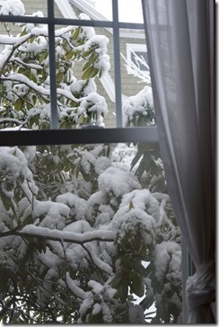 2013-12-10 09.46.52-2048