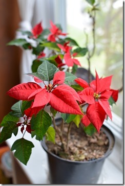 2014-04-29 08.00.09-2048