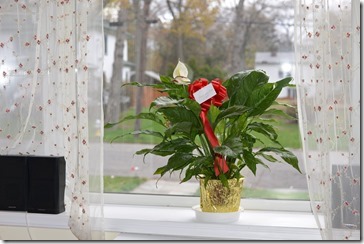 2014-04-29 08.02.01-2048