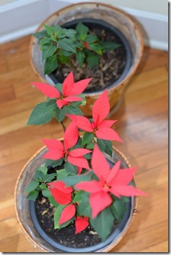 2014-04-29 08.04.19-2048