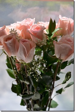 2014-05-05 11.22.03-2048