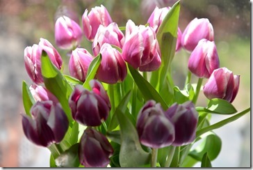 2014-05-05 11.22.22-2048