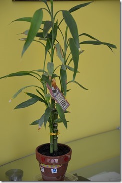 2014-05-05 11.24.00-2048