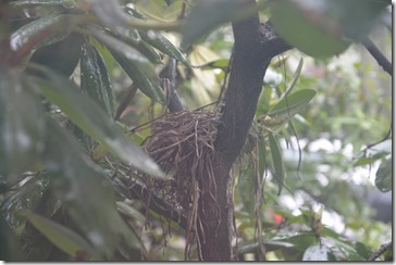 2014-05-15 06.31.38-2048