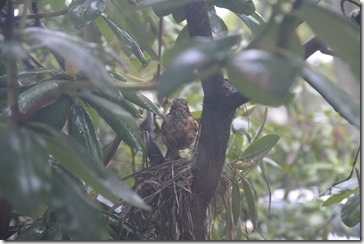 2014-05-15 07.11.03-2048