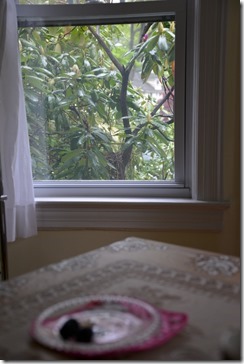 2014-05-15 07.20.42-2048