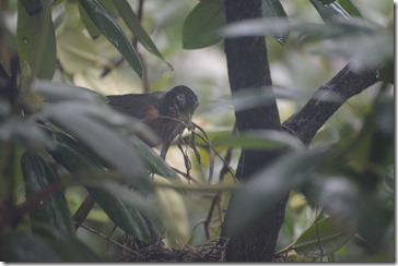 2014-05-15 08.31.26-2048