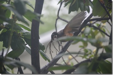 2014-05-15 09.44.05-2048