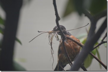 2014-05-15 09.45.56-2048