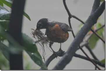 2014-05-15 10.59.11-2048