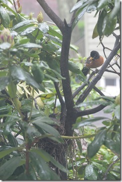 2014-05-15 10.59.24-2048