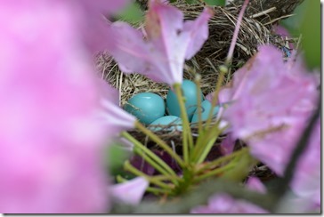 2014-05-30 13.46.57-2048