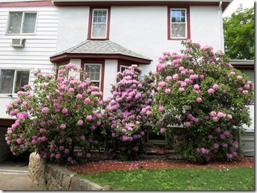 2014-05-31 14.00.40-2048