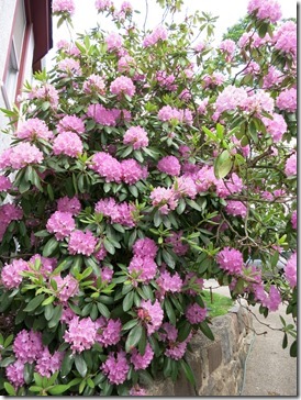 2014-05-31 14.01.26-2048