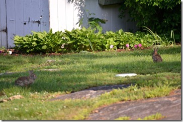 2014-06-04 07.45.56-2048