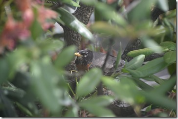 2014-06-08 16.02.12-2048