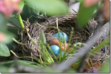 2014-06-08 16.13.00-2048