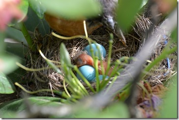 2014-06-08 16.15.44-2048