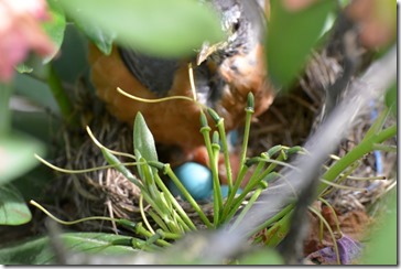 2014-06-08 16.15.47-2048