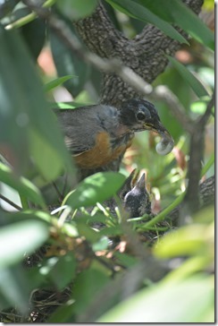 2014-06-18 09.42.43-2048