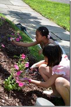 2014-07-12 11.02.52-2048