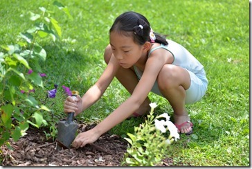 2014-07-12 11.06.55-2048