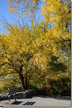 2015-10-26 10.57.03-2048