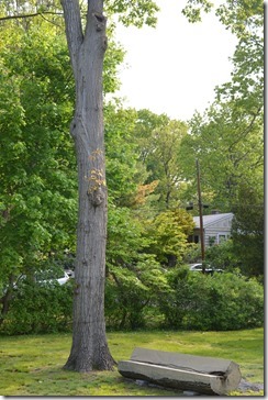 2016-05-20 07.59.53