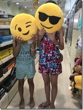 2016-06-20 11.54.17-2048