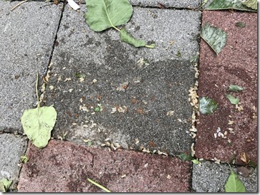 2017-07-30 10.29.57-2048