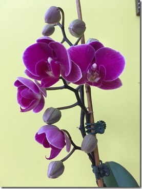 2018-03-08 09.35.55-2048