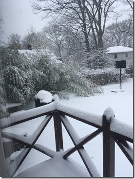 2018-03-21 15.01.57-2048