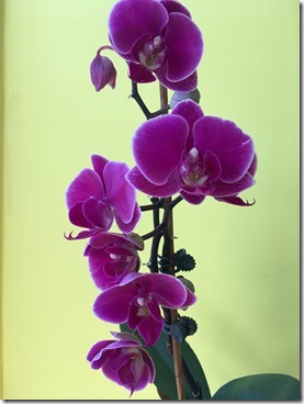 2018-03-24 10.55.38-2048