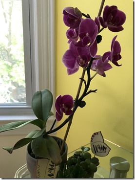 20190506_141139909_iOS-2048