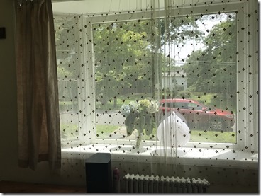 20190612_155212120_iOS