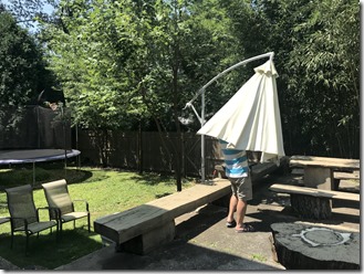 20190726_155639204_iOS-2048