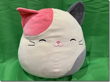 20190719_013959893_iOS-2048