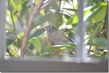 DSC_1278-2048