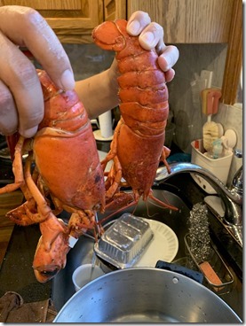 20190721_222540251_iOS-2048