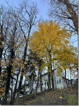 20201129_123739100_iOS