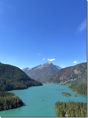 S__31539218