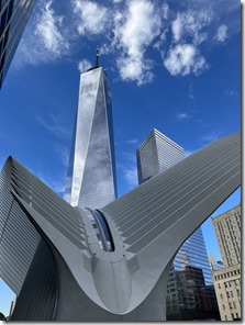 20231027_183143099_iOS