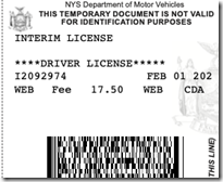 interim license